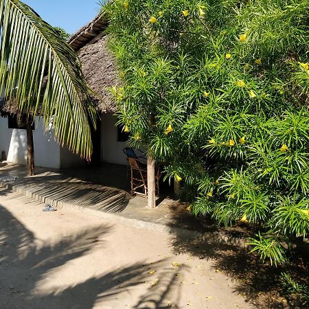 Jambiani Home Stay المظهر الخارجي الصورة