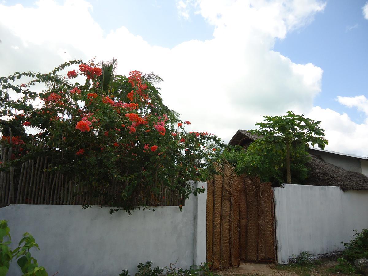 Jambiani Home Stay المظهر الخارجي الصورة